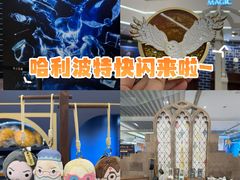 -上海静安大悦城
