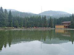 -武陵山森林公园