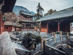 -报恩寺(平武县)