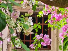 -深圳国际园林花卉博览园