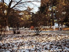 -东北大学(南湖校区)