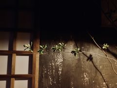 -BIJOU coffee&cocktail(龙岗万科广场店)