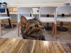 -小时光咖啡馆(北锣鼓巷店)