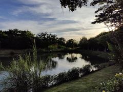 -福田红树林生态公园