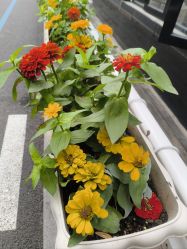 -爱儿美儿童摄影亲子馆(五路居店)