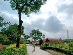-顺峰山公园