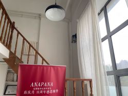 -安那般那皮肤年轻化ANAPANA