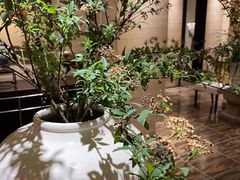 -漾亚·雍雅合鲜(鹭岛店)