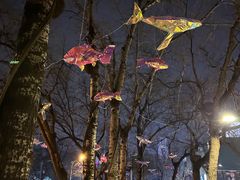 -BOCATA 西班牙餐厅(三里屯店)