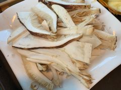 -蘑统田下·野生菌火锅