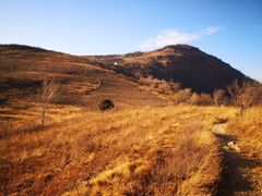 -阳台山自然风景区