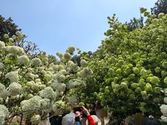 -铁山坪森林公园