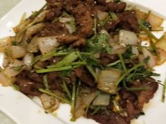 孜然羊肉-普天和酒楼·新津菜·烤鸭(天津之眼店)