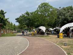 -太阳岛度假酒店