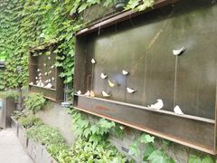-得丘礼享谷·玉兰苑