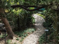 -复旦大学附属华山医院(总院)