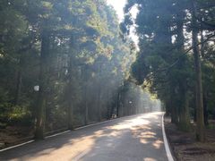 -庐山风景区花径公园