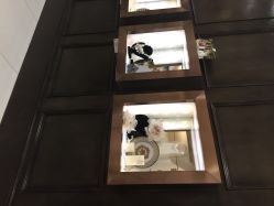 宝娜嫁衣馆-南京宝娜嫁衣婚纱礼服馆(中央路店)