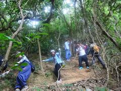 -西涌国际滨海旅游区