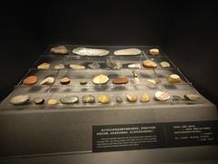 -金沙遗址博物馆