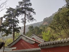 -北京上方山国家森林公园