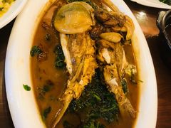 红烧菊黄河豚-鸿运酒楼