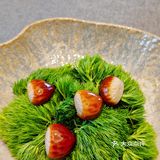 江南细雨，只此青玉🍃李公堤高奢江南苏宴[礼花]