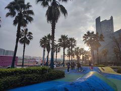 -金沙湖公园