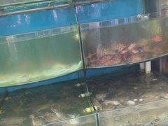 -临风海鲜餐厅