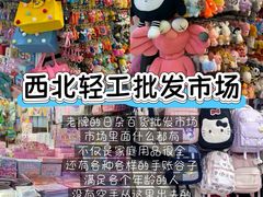 -西北轻工批发市场