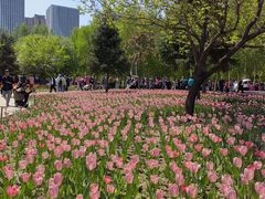 -长春公园(普阳街道)