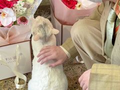 -知物癖(牛王庙店)