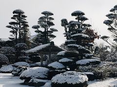 -富士山吉田線五合目