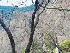 -鹫峰国家森林公园