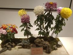 -汇龙潭