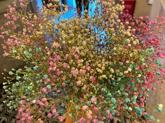 -奔马滚轴溜冰场