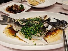-东方御宴海鲜酒楼(棕泉酒店)