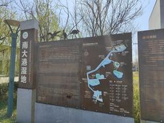 -南大港湿地风景区
