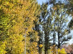 -穆湖渔村饭庄·住宿·钓鱼