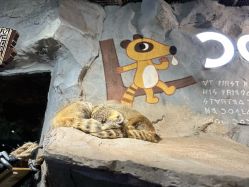 -Zoolung Zoolung动物主题公园(海信广场店)