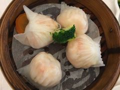 -新君悦国际酒店