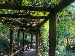 -大岭沟猕猴桃谷风景区