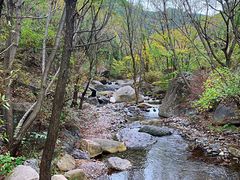 -云岫谷游猎自然风景区
