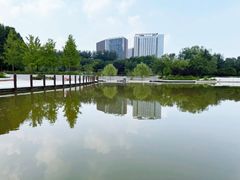 -大望京公园