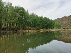 -白河湾生态旅游一条川