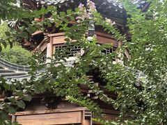 -宝通禅寺