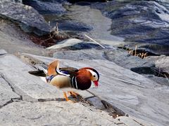 -颐和园