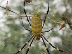 -白鹭湾湿地公园