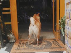 -About Bistro關於·泰式家庭料理