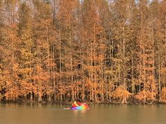 -上海海湾国家森林公园